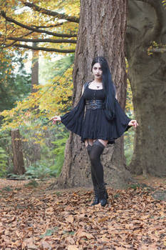 Stock - Gothic \ Fantasy - Forest Black