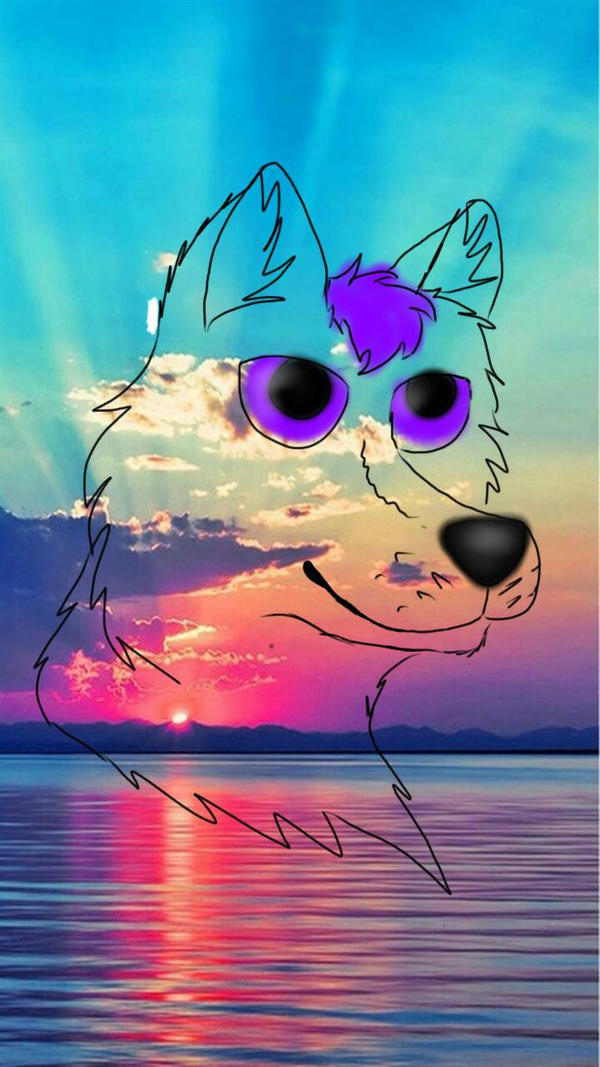 Sunset Wolf