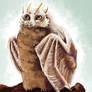 Owl dragon hybrid