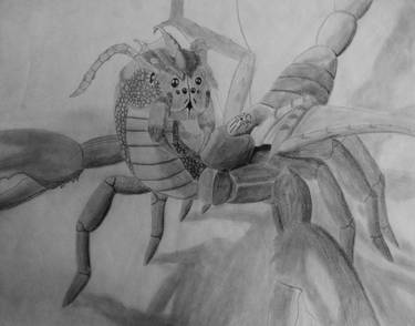 Sothern Crab Scorpion Dragon