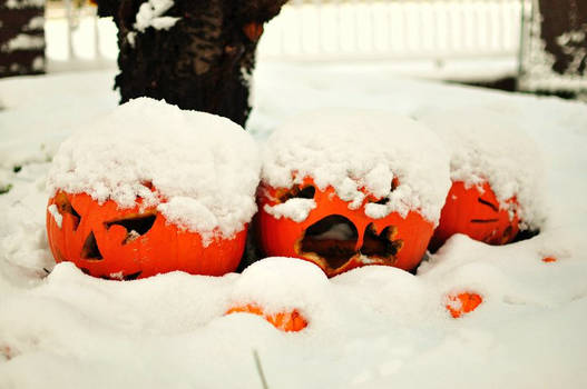 Waking Pumpkins