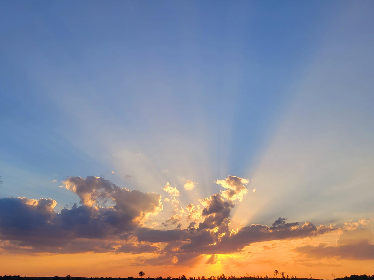 Crepuscular sunrays