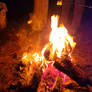 Marshmallows