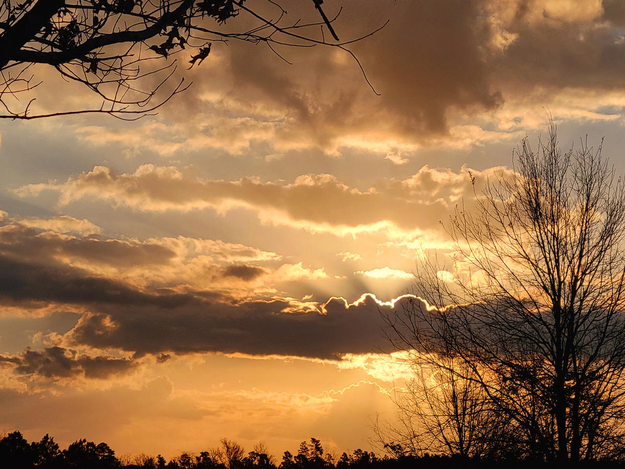 Sunbeams