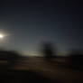 moon rabbits