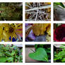 Content, Simple, Generous, Mindful, Impermanent