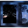 twilight moon