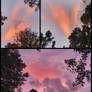 sunset love