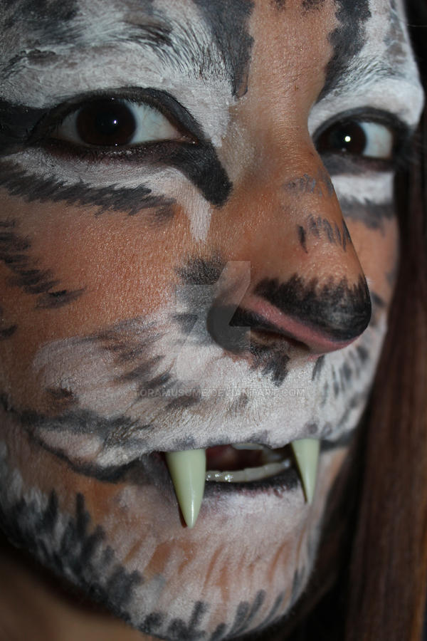 Tiger Makeup