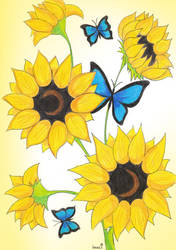 SUNFLOWERS