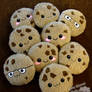Plush Cookie Party!