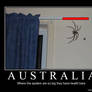 huge spiders