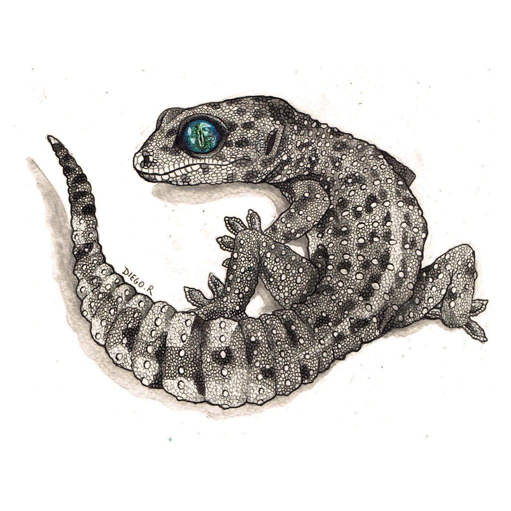 Gecko Deviantart Gecko by DiegoRobredo on DeviantArt