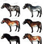 Cave art horses