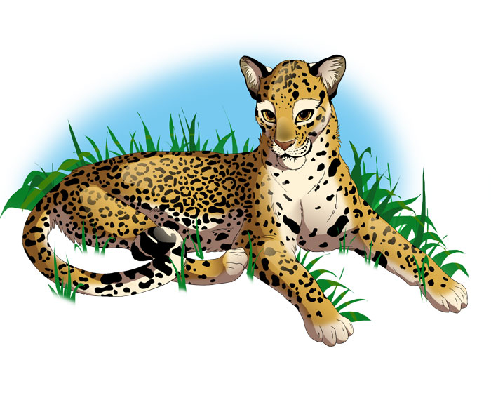 Leopard in the grass finished