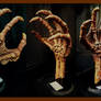 Deep One Fossilized Hand - H.P. Lovecraft