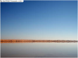 Desert Reflection II