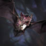 Undead Bat by Eedenartwork on DeviantArt