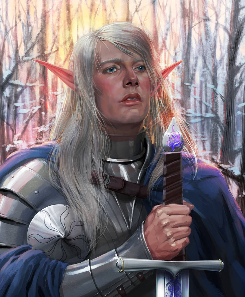 Elf-paladin. Comission work. by Feael