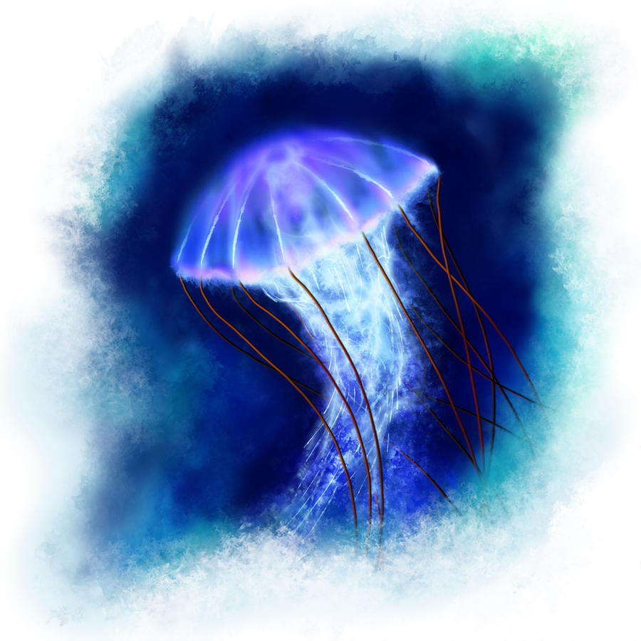 Jellyfish of Doom