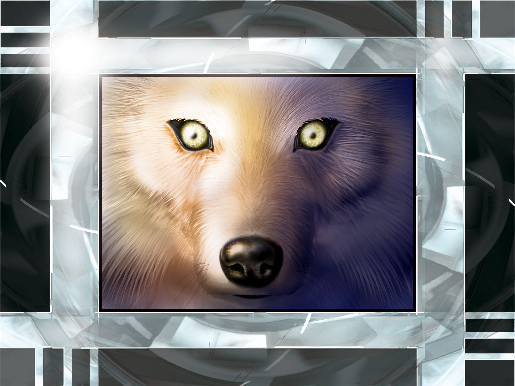 Colored wolf desktop