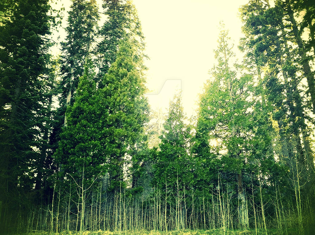 Electric Trees by CashmereKitten on DeviantArt