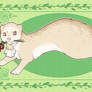 ferret