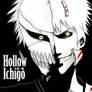 +Hollow Ichigo+