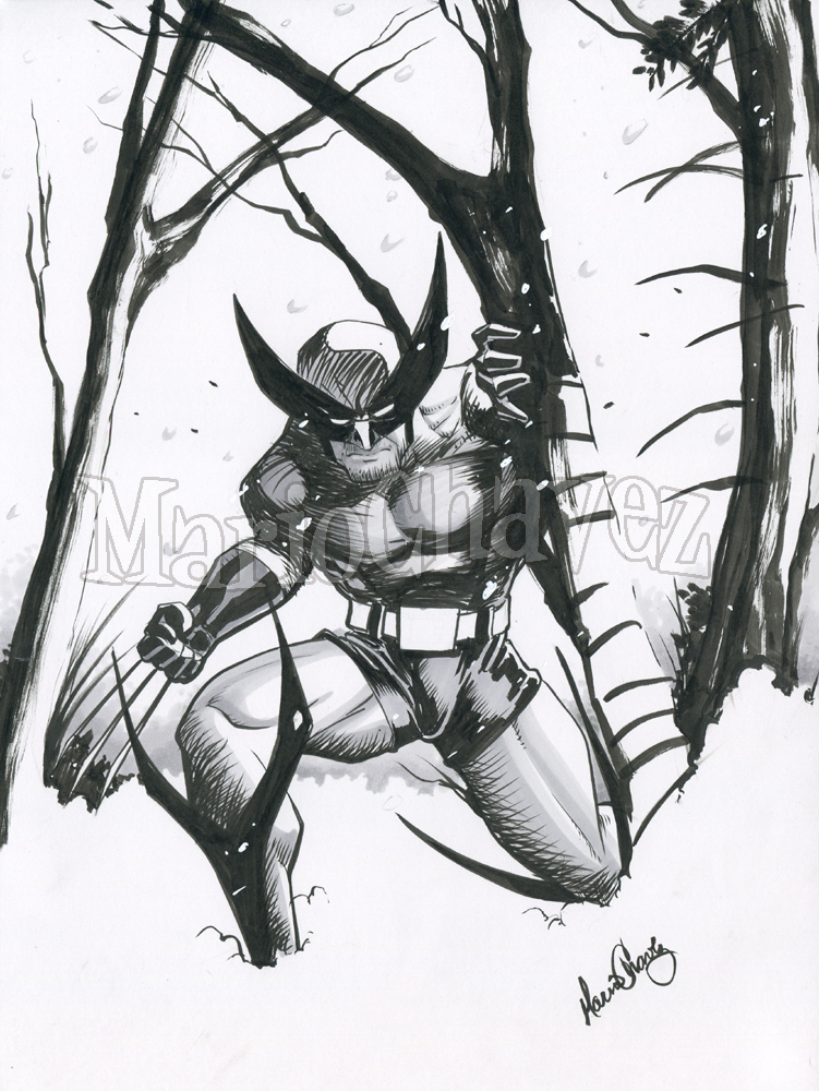 wolverine