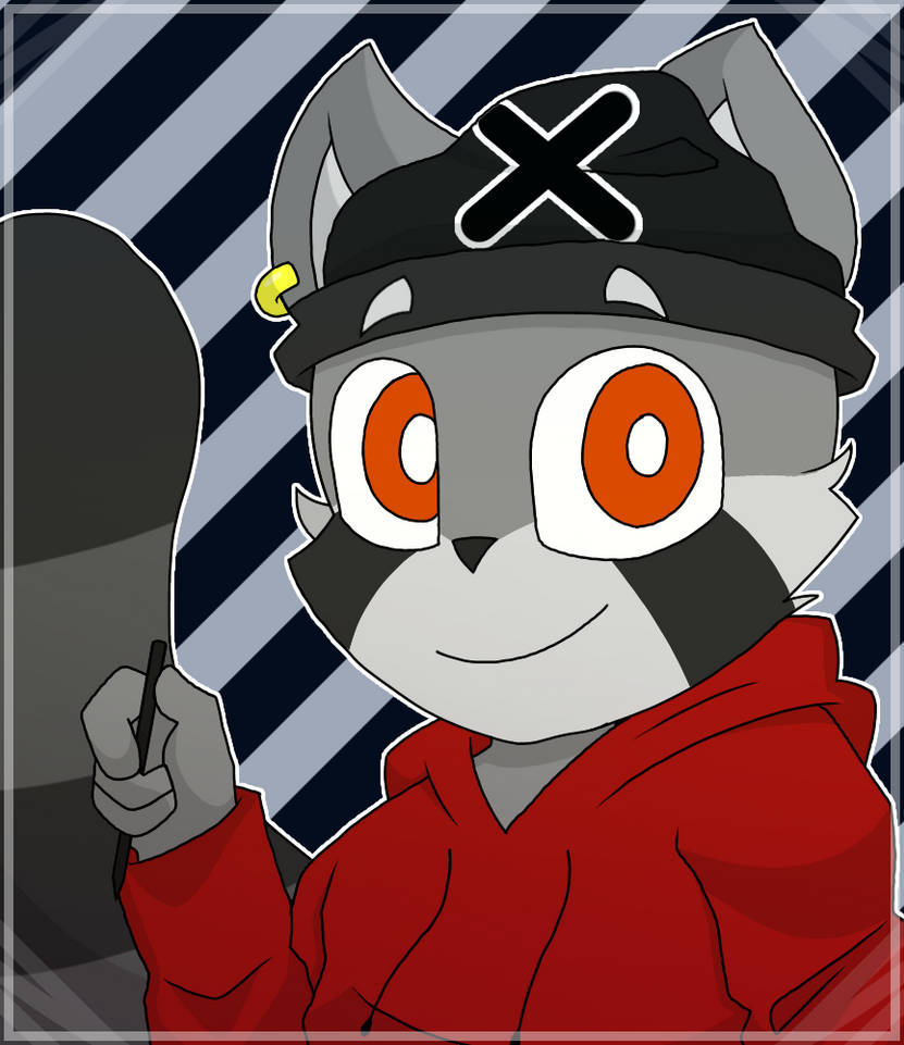 Rocky Ragoon rocky raccoon fan art by echoloh on DeviantArt