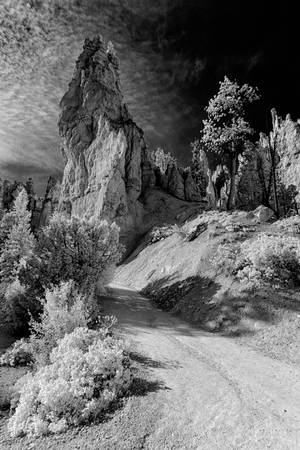 Navajo Loop Trail II by eprowe