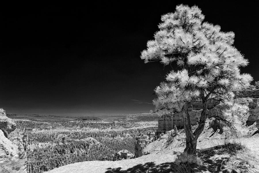 Rim Trail II by eprowe