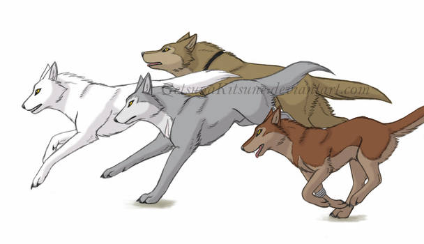 Wolf's Rain WIP