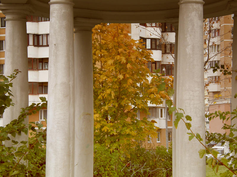 Fall and columns by Seliestia on DeviantArt