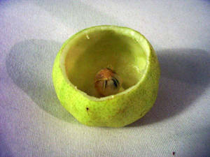 Eaten Pear
