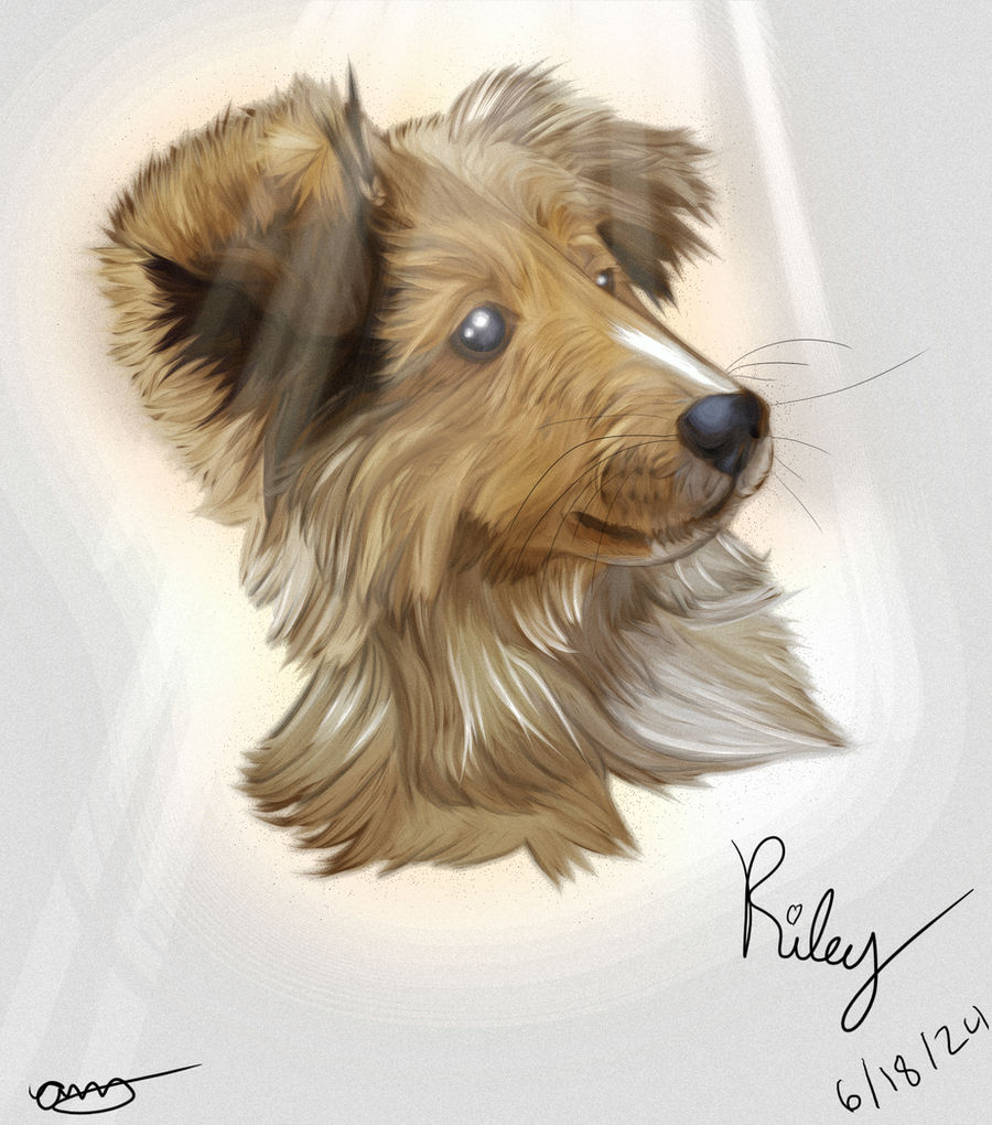 Riley by Nyctenix on DeviantArt