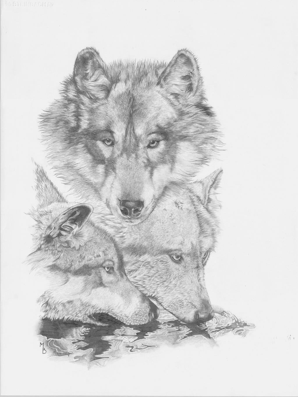 Wolves Graphite Drawing Graphite wolves by BunkhouseStudio on DeviantArt