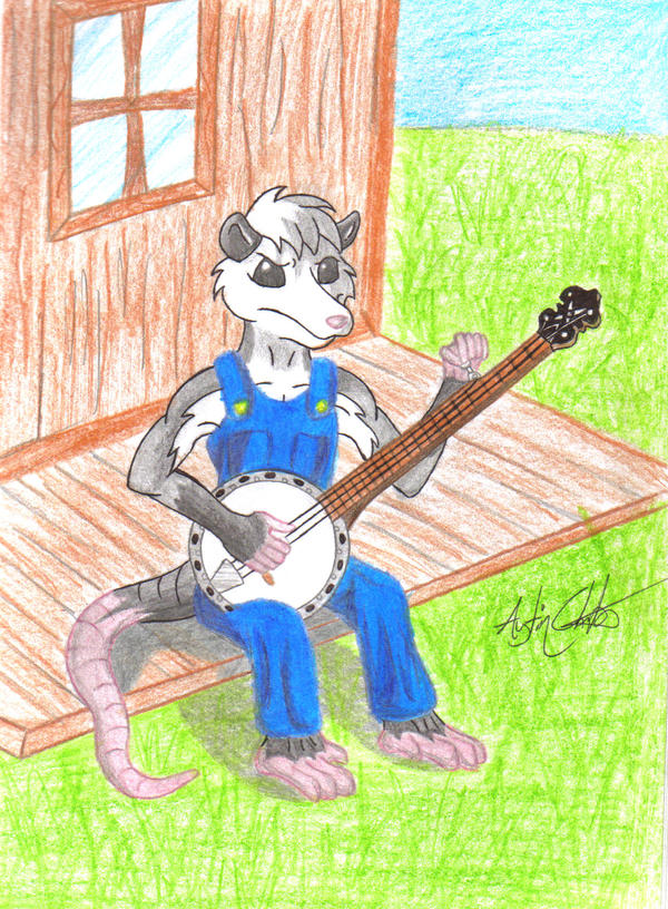 Pohl playing Banjo request