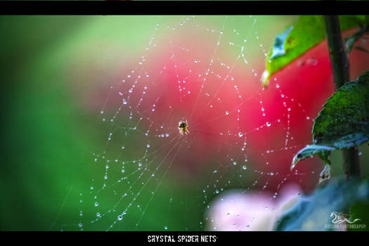 crystal spider net