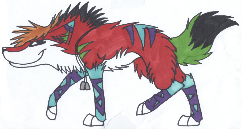 Red wolf female adoptable (SOLD)