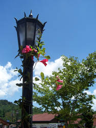 ::Flower on Lamppost:: Helen, GA