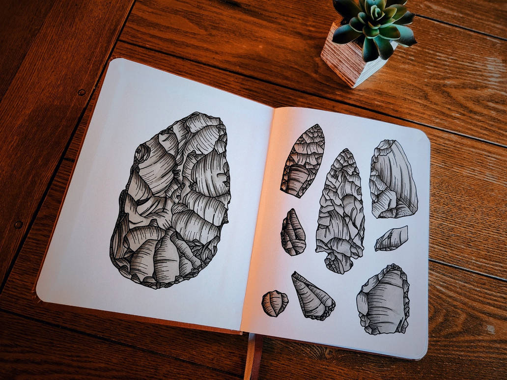 Lithe Build Reference Art Lithic Illustration by ShortRounde on DeviantArt