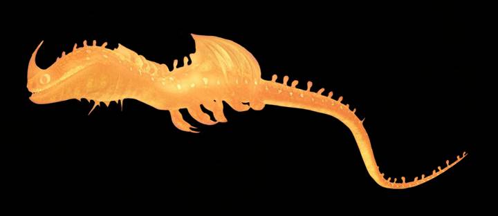 Fireworm Draw FireWorm by Sjwilson20 on DeviantArt
