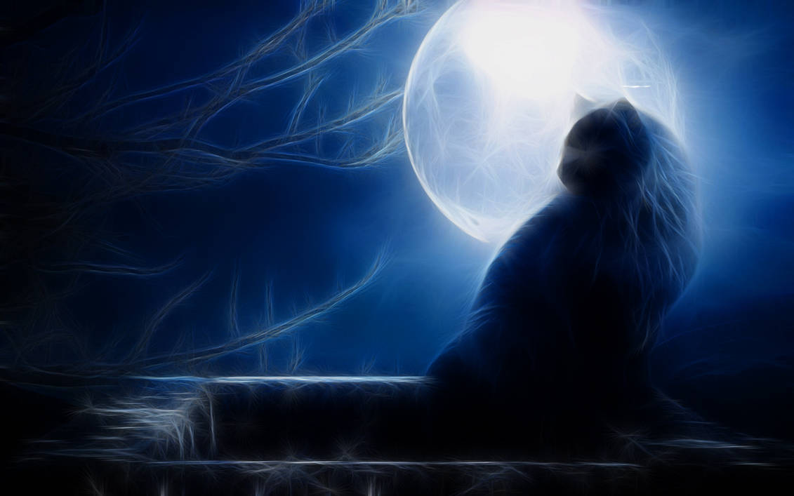 Moon Cat Wallpaper by Ghostkyller on DeviantArt