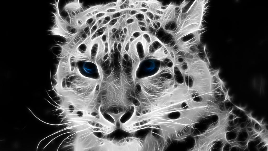 Snow Leopard Wallpaper by Ghostkyller on DeviantArt