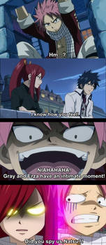 ~~~Fairy Tail~~~~MEME!!!