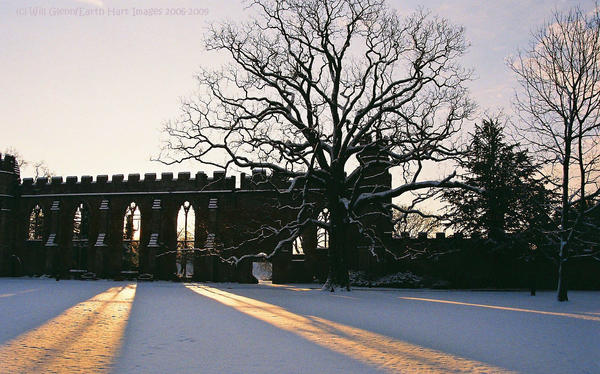 Sunlit Arches