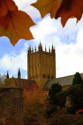 Tulip Tree Tower