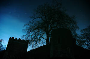Have You Seen the Stars Tonight by Earth-Hart Have You Seen the Stars Tonight by Earth-Hart