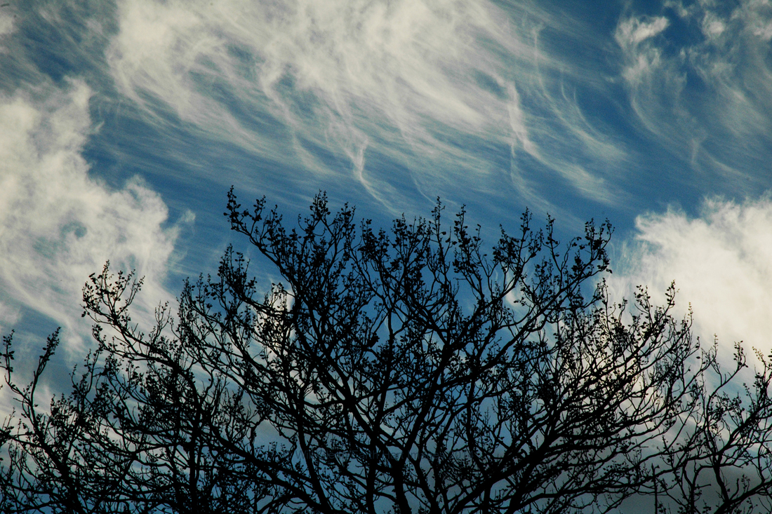 Mare's Tails